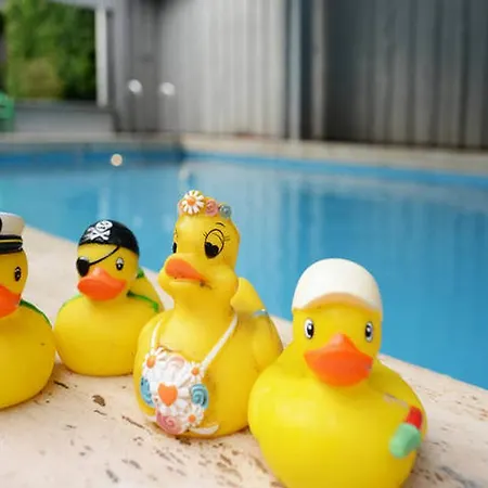 Eleganza מונשאו