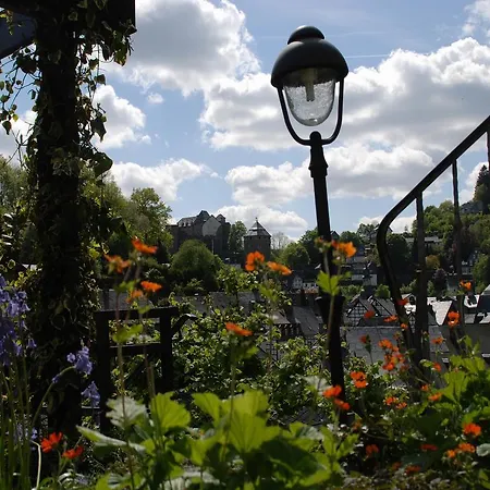 Eleganza مونشاو